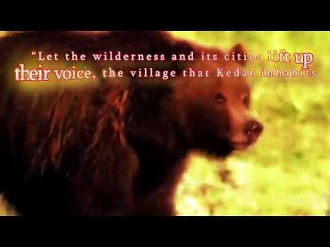Perek Shira - Nature's Song - Bear Scene