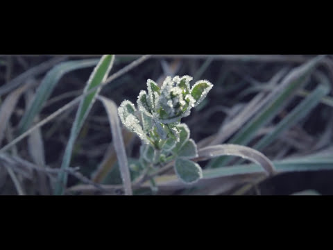 ANNAGEMINA - CALLING (Official Video)