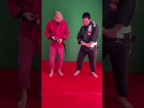 【柔術】帯の絞め方（その1）#shorts #jiujitsu #bjj #柔術 #ブラジリアン柔術 #mjjlab