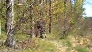 Björn Afzelius - Kungens Man