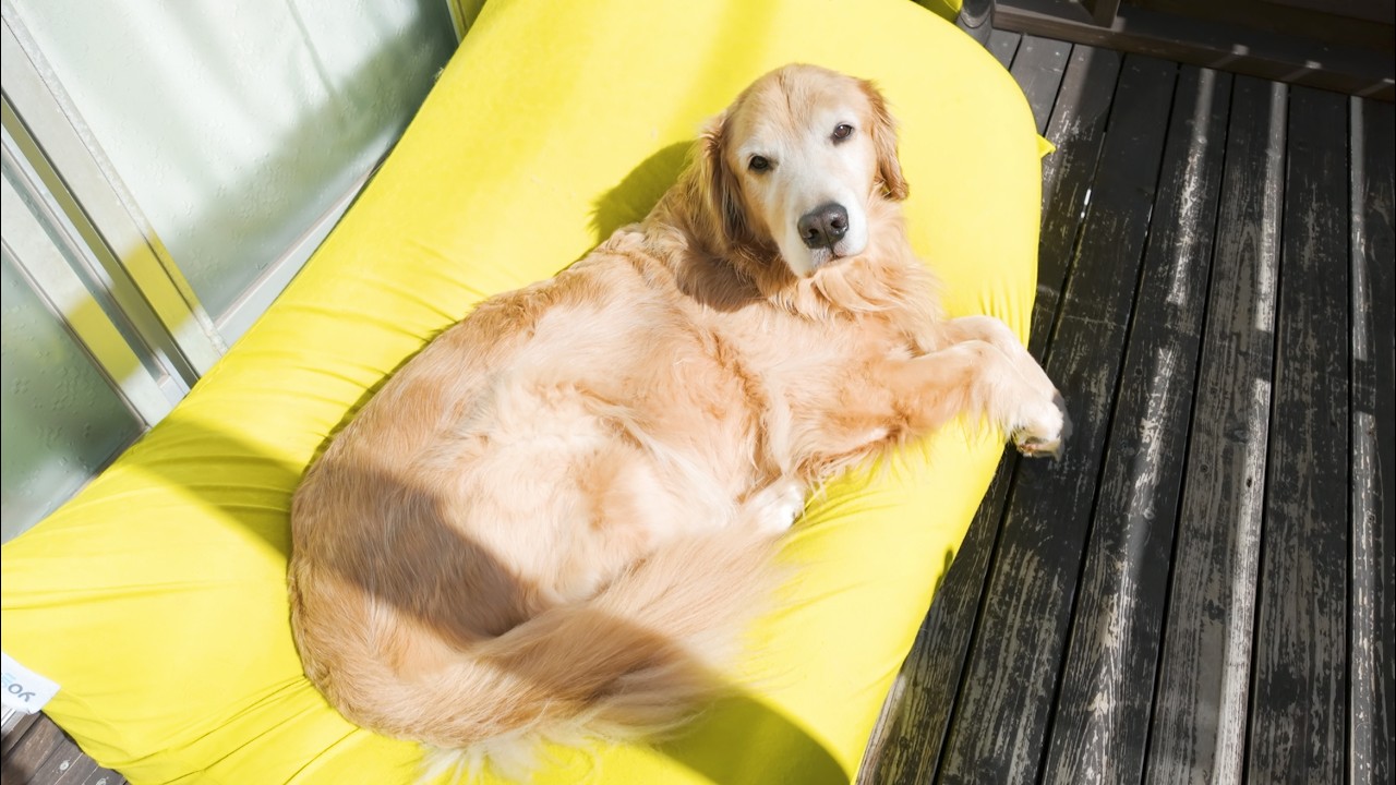 お久しぶりです。