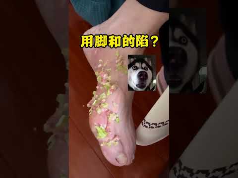 用腳和的餡？哈哈哈笑不活了 #年輕人小鄒 #整蠱 #可愛的姥爺 #神奇腦回洞#shorts