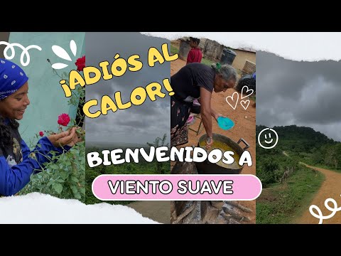 ¡ADIÓS AL CALOR! Bienvenidos a Viento Suave en el Estado Falcón