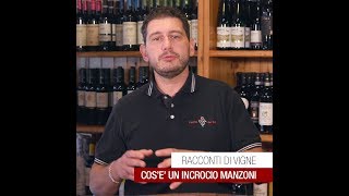 Cos'è un incrcocio Manzoni