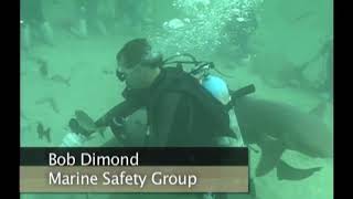 Unit 6: Swimming with Sharks