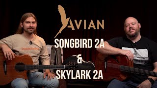 Video thumbnail for Avian Skylark and Songbird | Modern Aesthetic, High Quality by Alamo Music Center