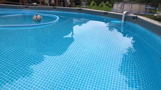 How to vacuum a intex above ground pool