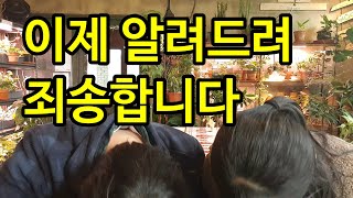 제라늄(페라고늄) 식물 잎을 보면 꽃이 보인다(초보자는 꼭 보세요)(자막있음)