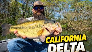 Feels Great to Be Back on the RIVER - California Delta