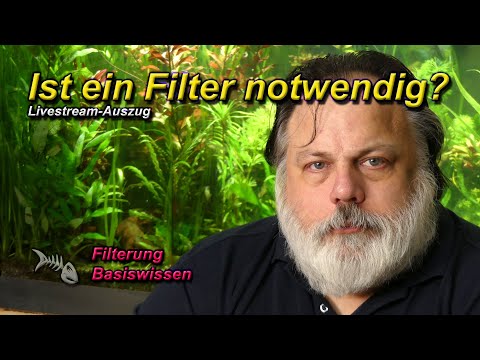 Braucht man einen Filter für ein Aquarium? Ist filterlos auch für Neueinsteiger geeignet?