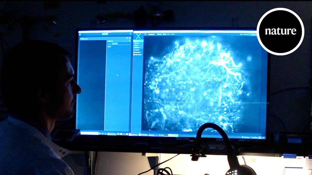 Сторителлинг инфографика. The science of well being. Сторителлинг в контент-маркетинге. Музыка help_self. The science of well being.