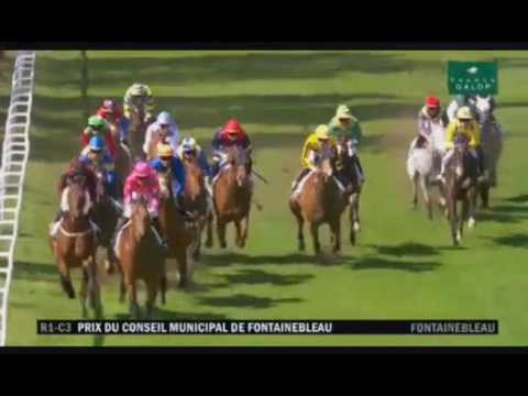 30Mar17 Prix du Conseil Municipal de Fontainebleau, turf por Maspalomas