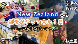 ニュージーランドから来た祖母と再会!1歳1ヶ月と2歳11ヶ月の1日/バイリンガルキッズ/夕食作り/子育て/カナダ
