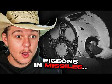 Disturbing Secret Government Projects