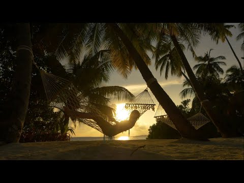 Dino Dvornik & Alka Vuica -  Na Karibe (Official video)