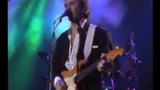 Pooh - L'ultima notte di caccia