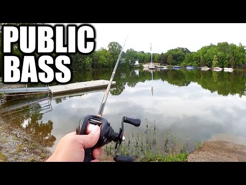 Bass Fishing in a PUBLIC Park! Cheap & Easy Bass Fishing for Beginners
