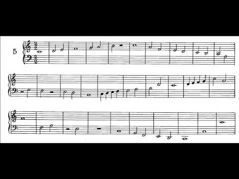 Nerina Poltronieri - Primo Corso - Esercizio N. 5