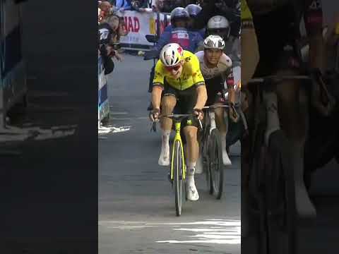 WOUT VAN AERT WINS AN EPIC IN SIENA💥 The Belgian is BACK with his 50th win and what a way to do it 😍
