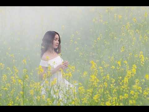 Natal Venus Aspects to Midheaven (MC)