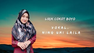 Download lagu NING UMI LAILA| LIRIK COKOT BOYO |SHOLAWAT TERBARU 2023 mp3