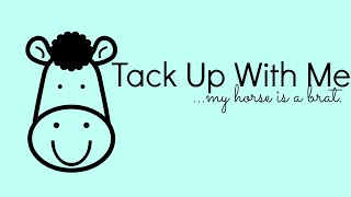 my horse is a brat. ("Tack Up With Me")