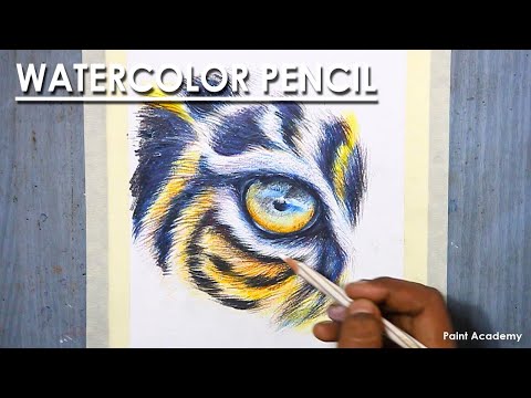 Watercolor Pencil How to Draw Tiger eye and Fur