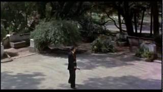 Metro Area - Soft Hoop