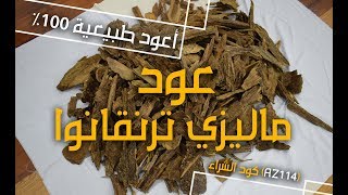 عود ماليزي ترنقانو | عود للبيع