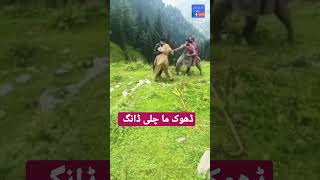 Download lagu Dhook Ma masti #tribalofkashmir #Gujjarbakerwal in Dhook ||Maa Gojri geet #maya bahj na Dhook #gojri mp3 Download lagu Dhook Ma masti #tribalofkashmir #Gujjarbakerwal in Dhook ||Maa Gojri geet #maya bahj na Dhook #gojri mp3