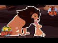The Best Creature Dads In The Wild New Compilation Wild Kratts
