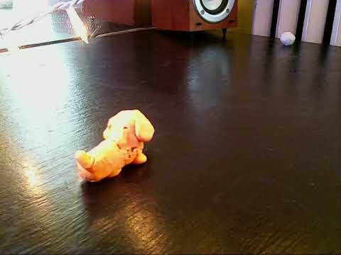 S03 Episode 6: Gavin Folgert, Animator