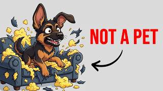 What First-Time German Shepherd Owners Always Get Wrong