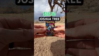 Day 174. JOSHUA TREE #joshuatreenationalpark #pokemon #scarletandviolet #phantasmalflames #pokemongo