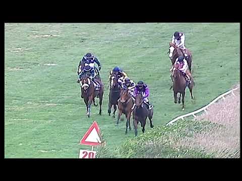 Galoppo 25/01/2021 - 6ª corsa