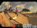 www.VitalSkate.com-In Motion Montage