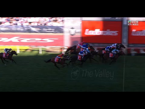 澳洲覺士盾 Australia Cox Plate 一級賽 G1 2023-10-28 2040m 浪漫勇士 Romantic Warrior 滿利谷馬場 Moonee Valley Racecour