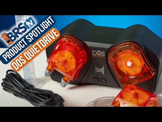 【土日限定値下げ中】 qdc NEPTUNE おまけ付き 土日限定値下げ中】 qdc NEPTUNE おまけ付き おまけ付き】qdc neptune