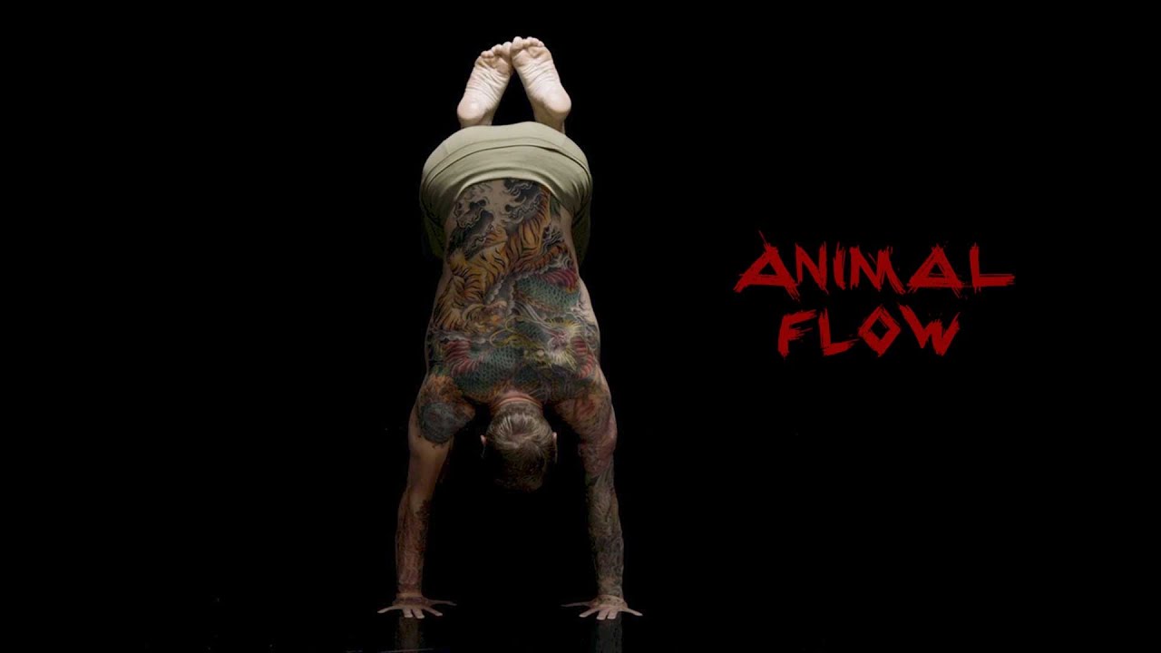 Animal Flow: Transcend