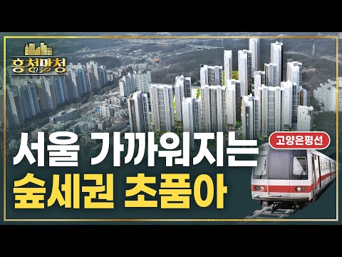 GTX·고양선 타는 고양 더샵포레나 | 흥청망청 [AD]