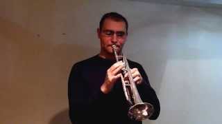 Tiny Capers - Clifford Brown Transcriptions Episode 22