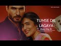 Tumse Dil Lagaya Baazi Ishq Ki Puneetchoukesy Khushburajendra