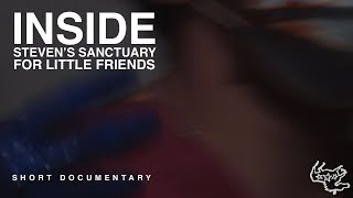 Inside Steven's Sanctuary For Little Friends | Short Documentary