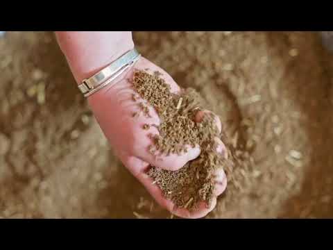 HOW TO Verarbeitungstipps Lehm Unterputz