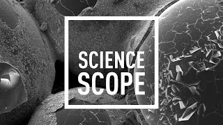 These cement-making bacteria could build the cities of the future