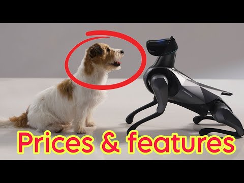 Perro robot, detecta al perro robot