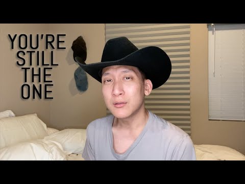 You're Still The One - Shania Twain Cover - Travis Yee