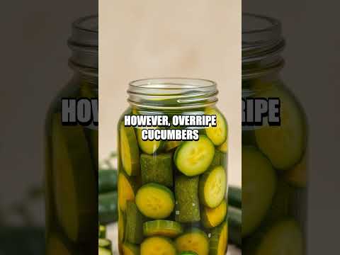 Cucumber's Hidden Hydration Secret