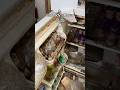 Whatever You Do DO NOT Open Fridges In Abandoned Places