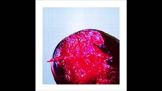 Gabriel Mayers - Sixty Charisma Scented Blackbirds